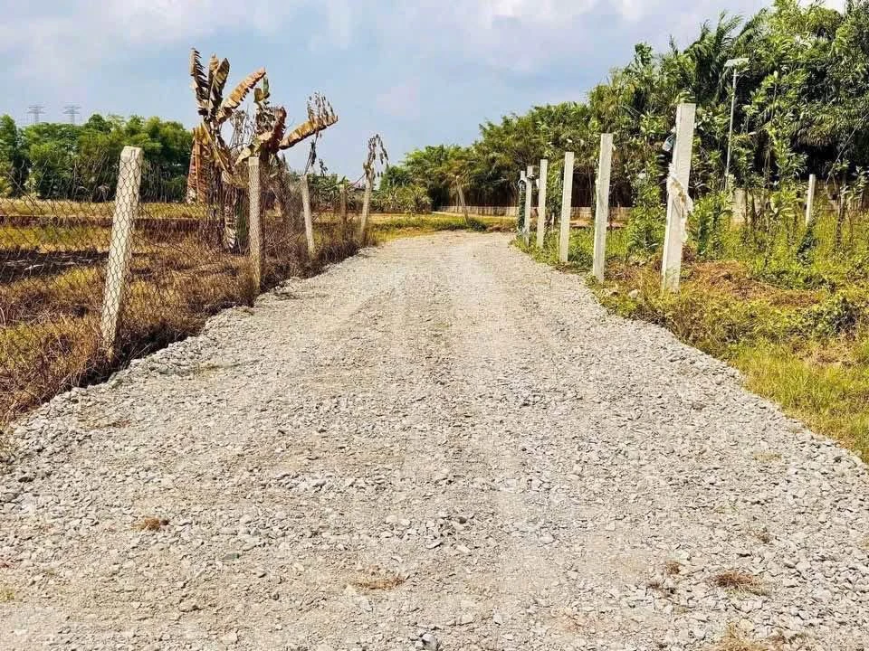Bán lô đất 150m² tại Xã Mỹ Hạnh, Hóc Môn - Ảnh thu nhỏ 3