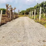 Bán lô đất 150m² tại Xã Mỹ Hạnh, Hóc Môn - Ảnh thu nhỏ 3