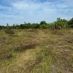 Bán đất 22.225m2 Ấp 1, Thanh Sơn, Định Quán, Đồng Nai giá 1,8 tỷ - Ảnh thu nhỏ 4