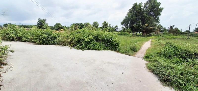 Bán đất cây trồng 900m² 2 mặt tiền Hàm Liêm