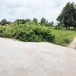 Bán đất cây trồng 900m² 2 mặt tiền Hàm Liêm - Ảnh thu nhỏ 1