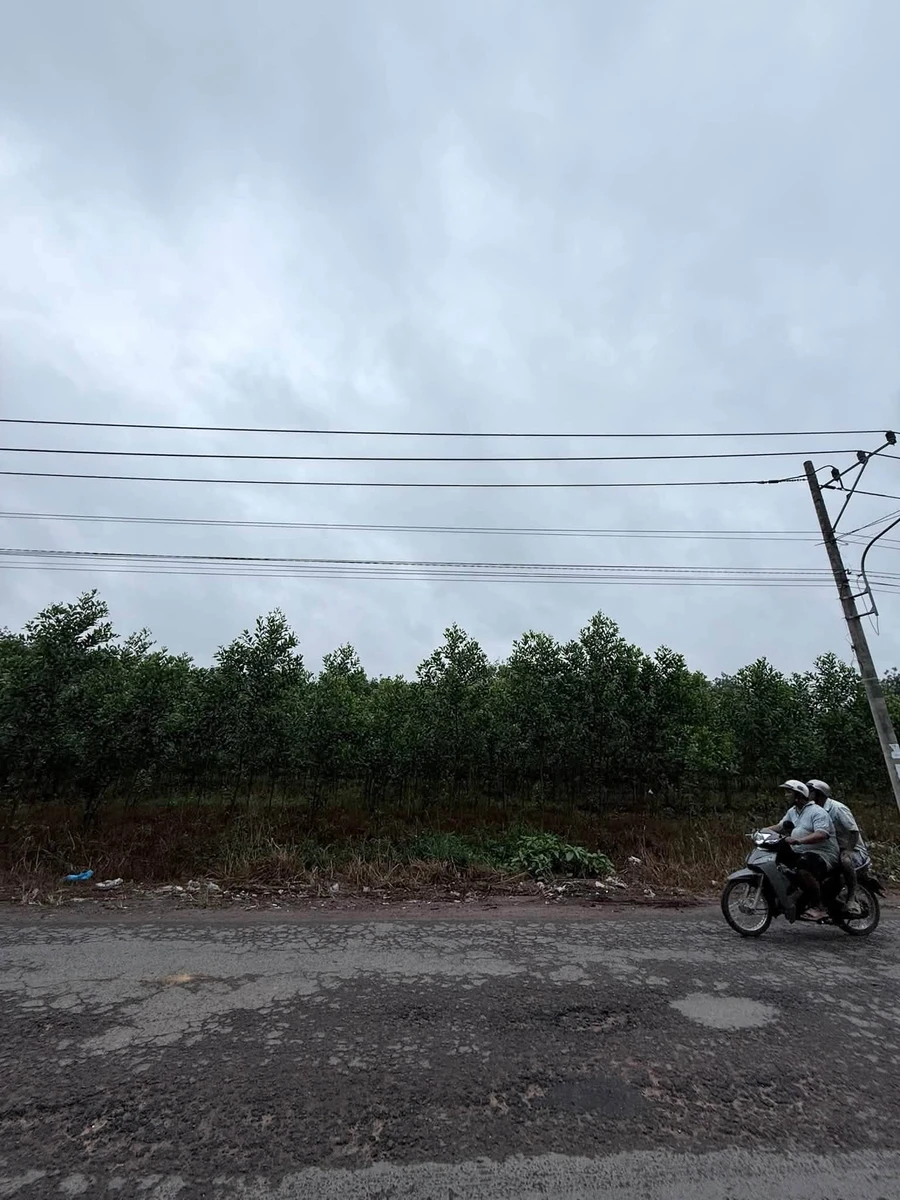 Bán đất Bình Mỹ 1440 m² giá 7 tỷ - Ảnh thu nhỏ 4