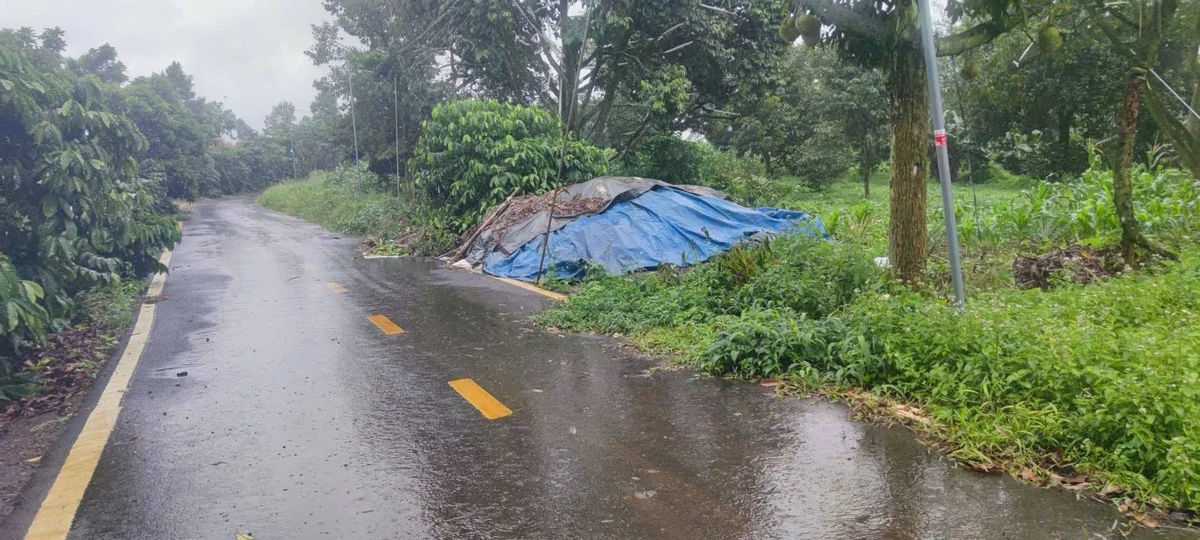 Bán 20 lô đất Bảo Lâm, 4.561m2, giá 8 tỷ - Ảnh thu nhỏ 2