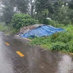 Bán 20 lô đất Bảo Lâm, 4.561m2, giá 8 tỷ - Ảnh thu nhỏ 2