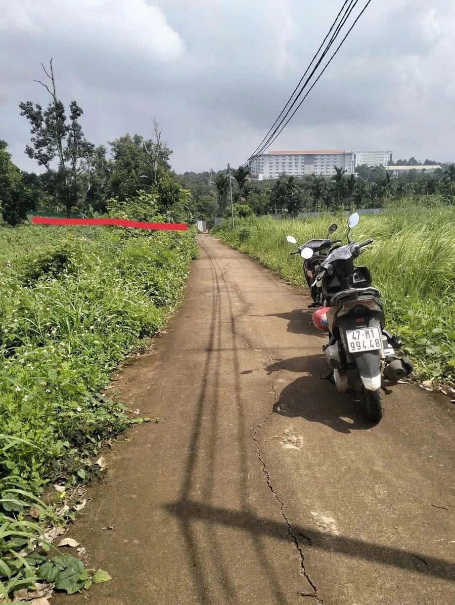 Bán đất nông nghiệp 1004m² 1 tỷ 650 triệu Tây Nguyên - Ảnh thu nhỏ 2