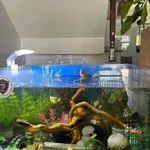 Nhà đẹp Long Thạnh Mỹ 2 phòng ngủ 52,5m² giá 4,95 tỷ gần Vinhomes - Ảnh thu nhỏ 3