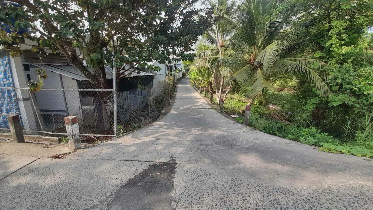 Bán đất ruộng góc 2 mặt tiền 150m x 400m Mong Thọ B Kiên Giang - Ảnh thu nhỏ 4