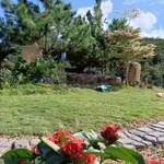 Bán đất 1 sào ở Lộc Nam, Bình Dương, giá 1 tỷ 3 - Ảnh thu nhỏ 2
