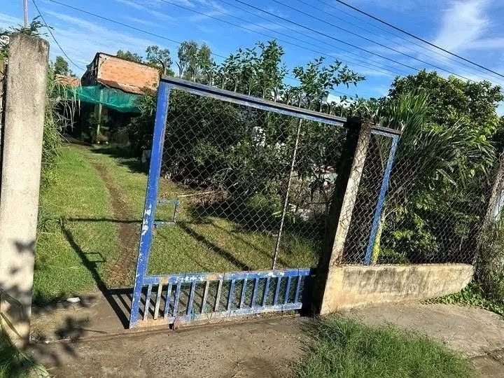 Bán đất chính chủ 150m2 thổ cư, đường đan 5m, giá 500 triệu tại Thạnh Phước, Bình Đại