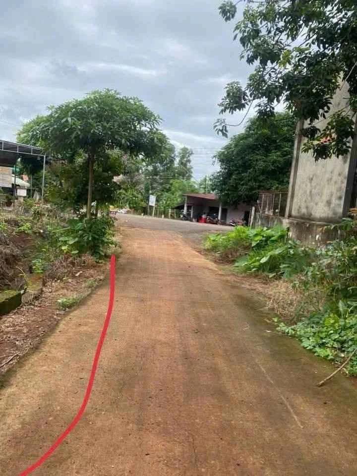Bán đất 10x40 (400m²) Lộc Ninh, Bình Dương 220 triệu - Ảnh 1