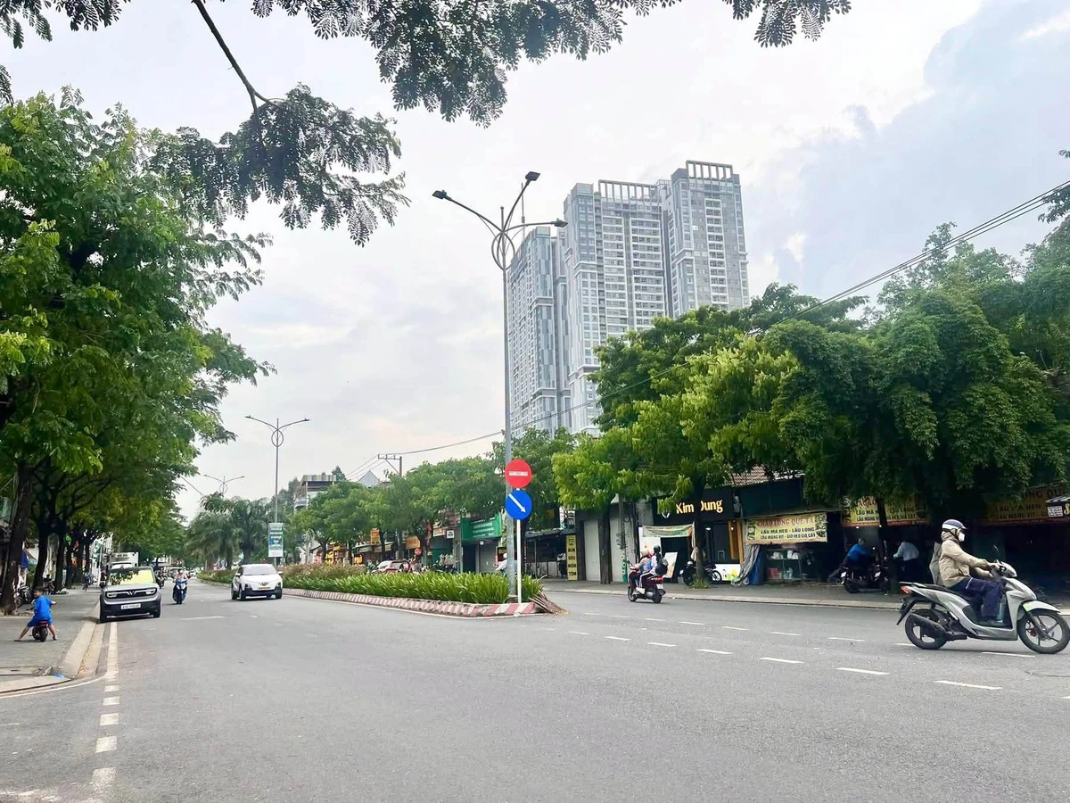 Bán đất mặt tiền Trần Văn Ớn Thủ Dầu Một 130m2 - Ảnh 1