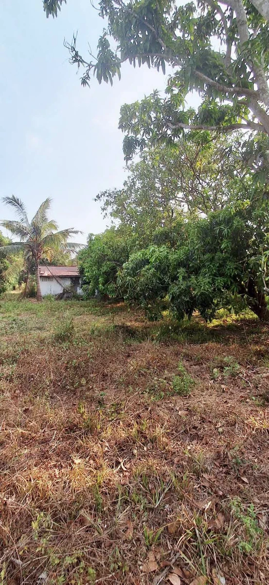 Bán đất 200m² kp Đại Thiện, Bình Thuận - Ảnh thu nhỏ 4