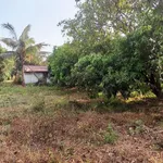 Bán đất 200m² kp Đại Thiện, Bình Thuận - Ảnh thu nhỏ 4