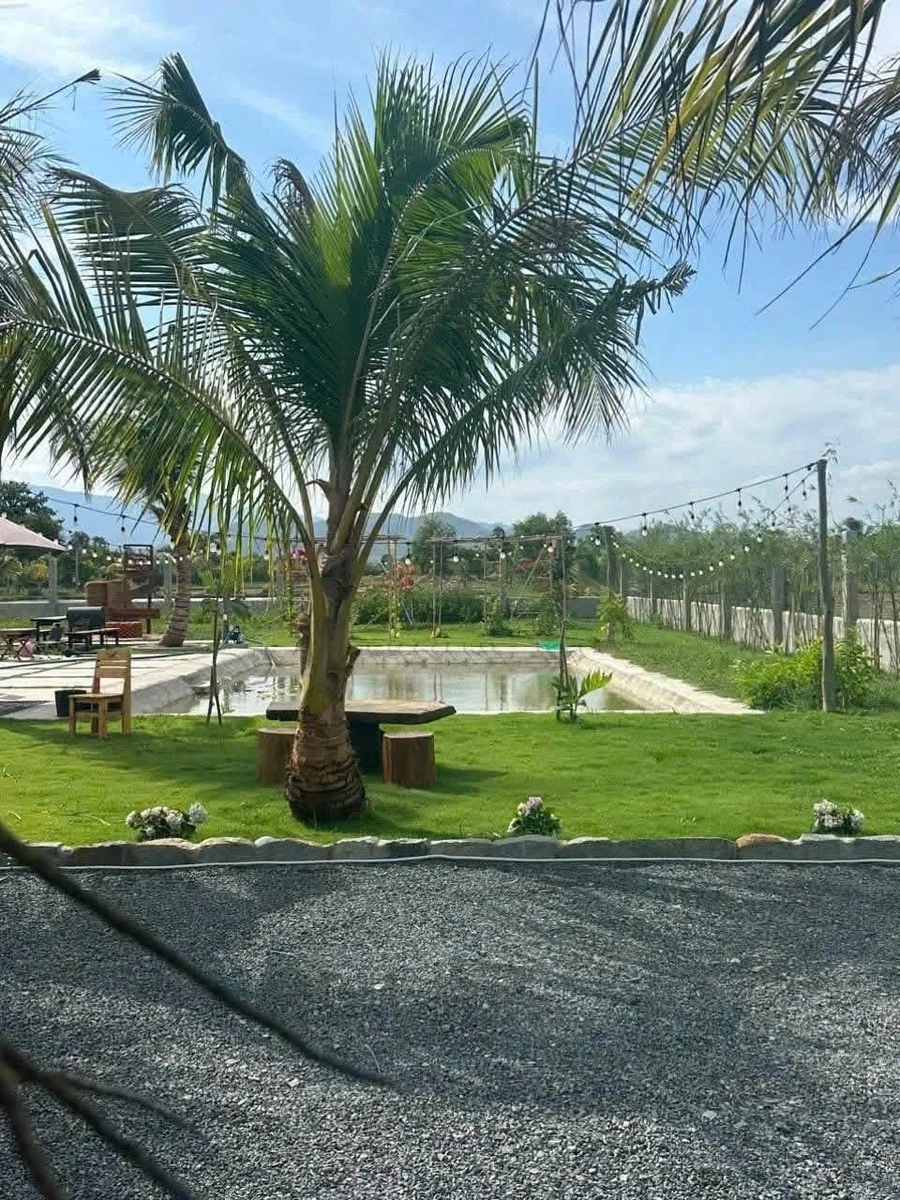 Bán biệt thự 1618m2 Hàm Chính Phan Thiết, 1 tỷ 350 triệu - Ảnh thu nhỏ 3
