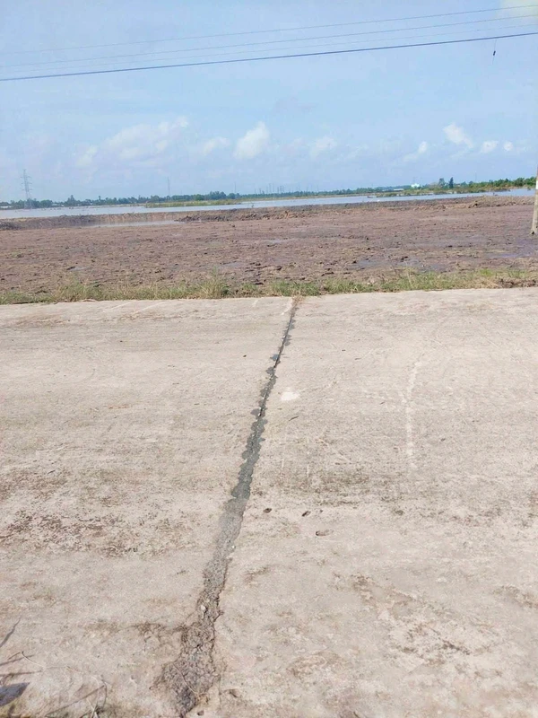 Bán 2000m² đất lúa quy hoạch thổ cư Kiên Giang 630 triệu