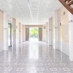 Cho thuê nhà mặt tiền đường 173, 600m2, 2 căn nhà, giá 8 triệu/tháng, Sơn Đông, Bến Tre - Ảnh thu nhỏ 3