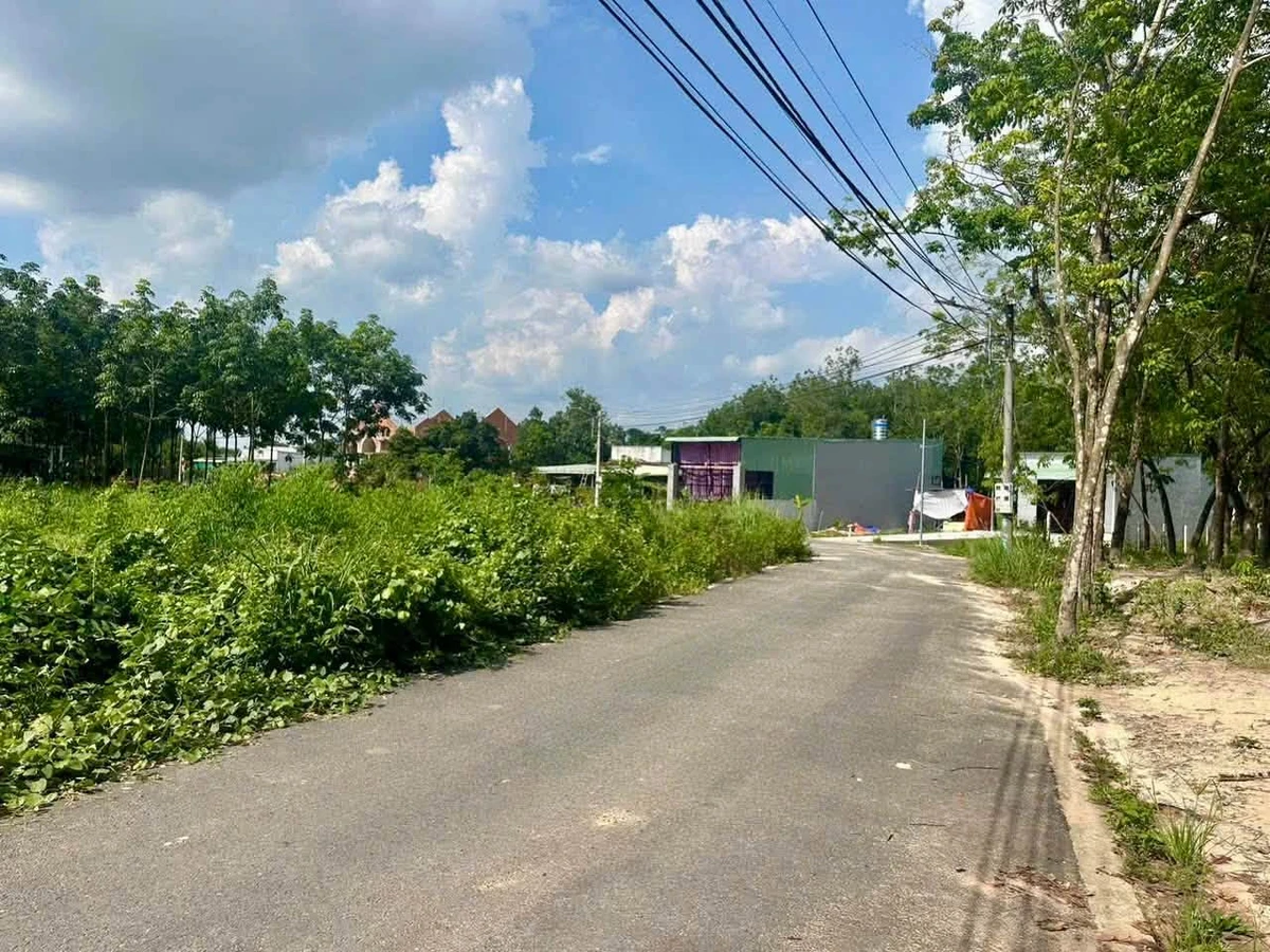 Bán đất Hòa Lợi 1.208 m², Bình Chánh, 3.7 tỷ - Ảnh thu nhỏ 4