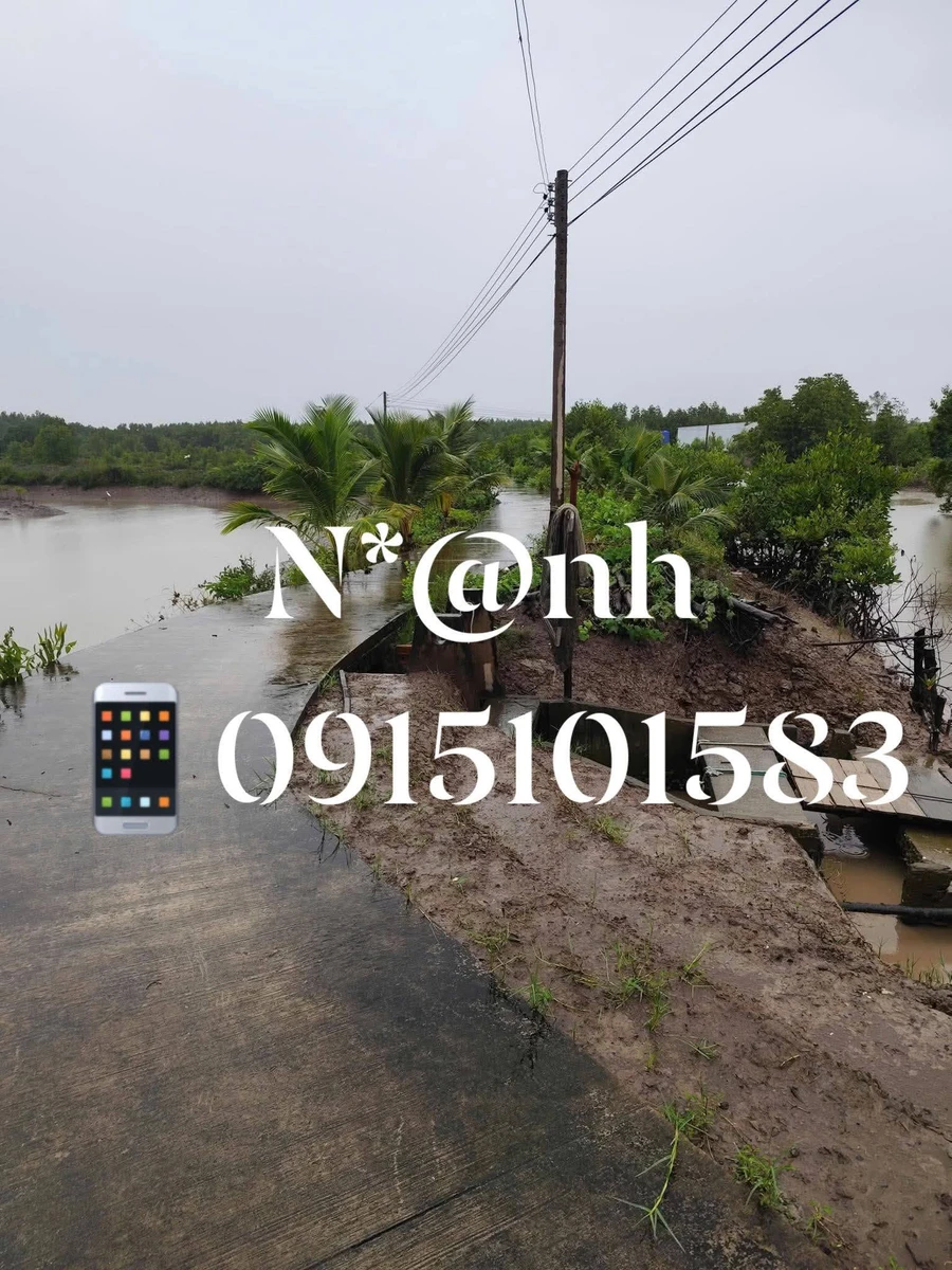 Bán đất Ngọc Hiển Cà Mau 36m² sổ hồng 1 tỷ 5 - Ảnh thu nhỏ 4