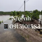 Bán đất Ngọc Hiển Cà Mau 36m² sổ hồng 1 tỷ 5 - Ảnh thu nhỏ 4