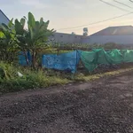 Bán đất 8x20.99m, 167.92m² gần thổ cư, đường 6m - Ảnh thu nhỏ 3
