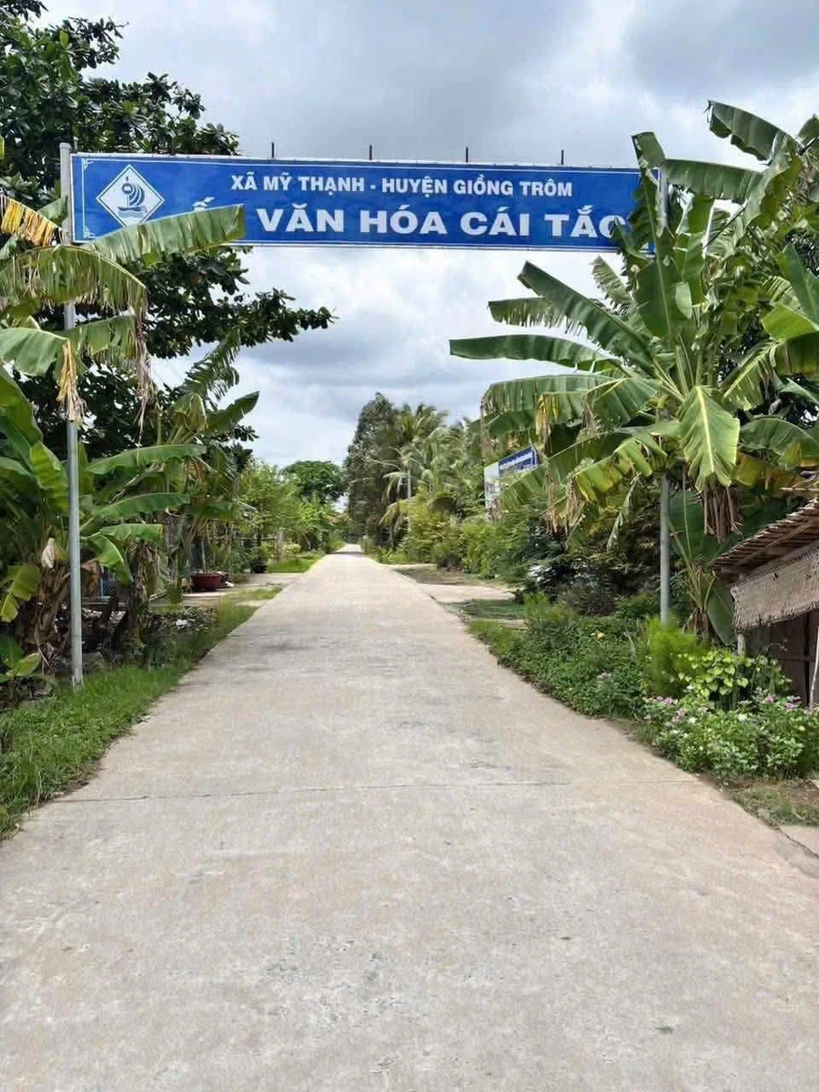 Bán đất mặt tiền Mỹ Thạnh, Nhà Bè, 1336m2 - Ảnh thu nhỏ 4