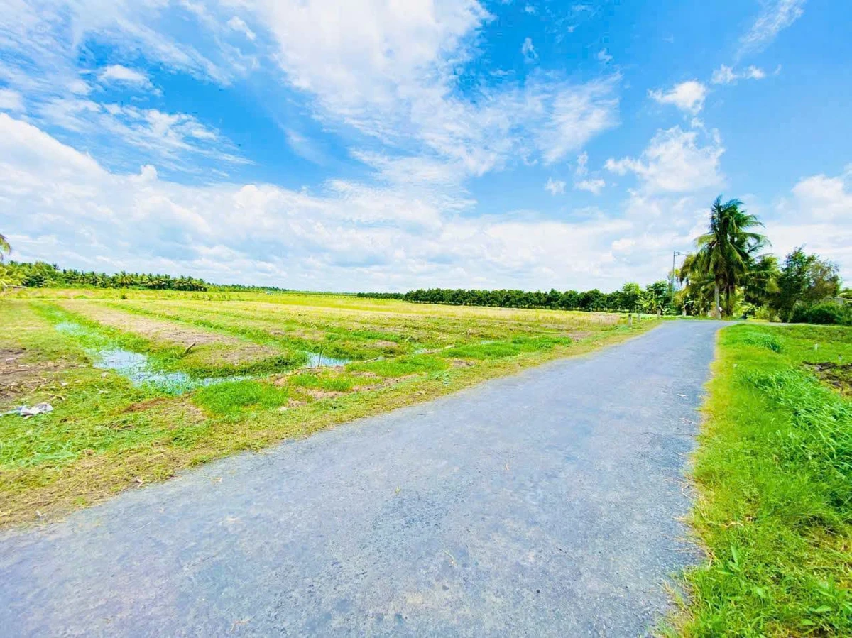 Bán 3 nền đất liền kề hơn 700m² mặt tiền lộ nhựa tại Xã Ngãi Tứ, Vĩnh Long - Ảnh thu nhỏ 2