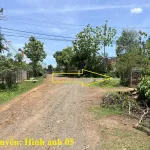 8 sào gỗ tếch tại huyện Cư Mgar, Đắk Lắk - Ảnh thu nhỏ 22