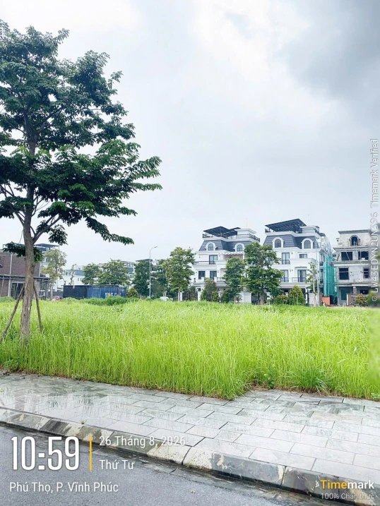 1 lô biệt thự song lập 200m2 giá sập sàn tại KĐT Bắc Đầm Vạc chỉ 45.5tr/m2. LH 0987 416 *** - Ảnh thu nhỏ 5