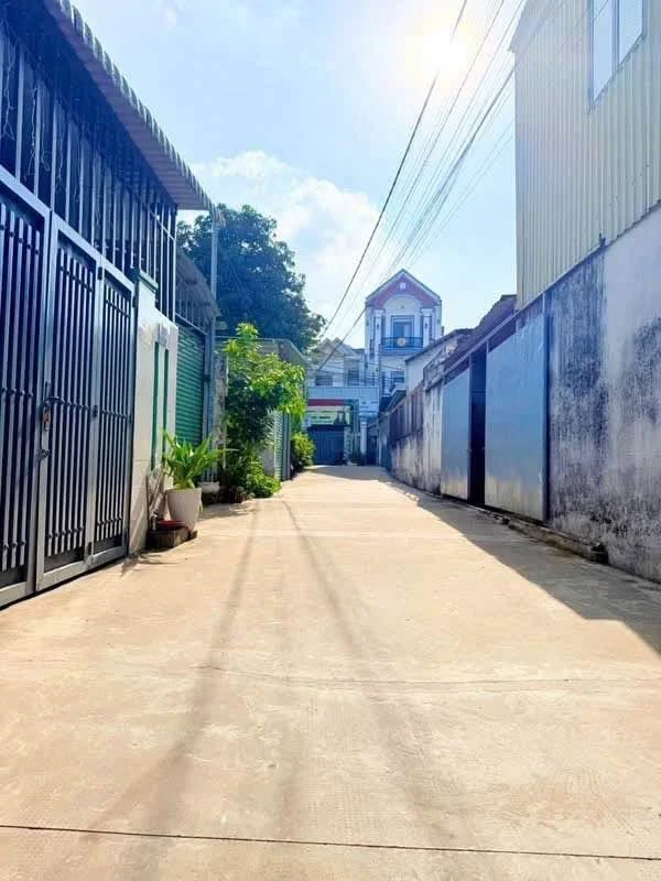 Bán đất nhánh DX94 Phường Hiệp An Thủ Dầu Một 119 m2 - Ảnh thu nhỏ 2