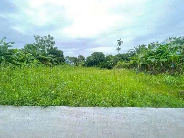Bán đất 178m2 giá 625 triệu Hương Toàn Huế - Ảnh thu nhỏ 2