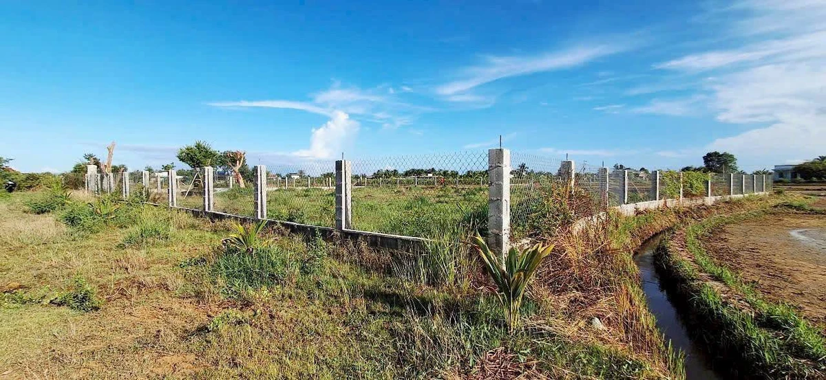 Bán đất 1300m² trồng cây ăn trái Hàm Liêm 850 triệu - Ảnh thu nhỏ 3