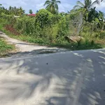 Bán đất Long Thới Chợ Lách 2.700m² giá 463 tr/công - Ảnh thu nhỏ 1