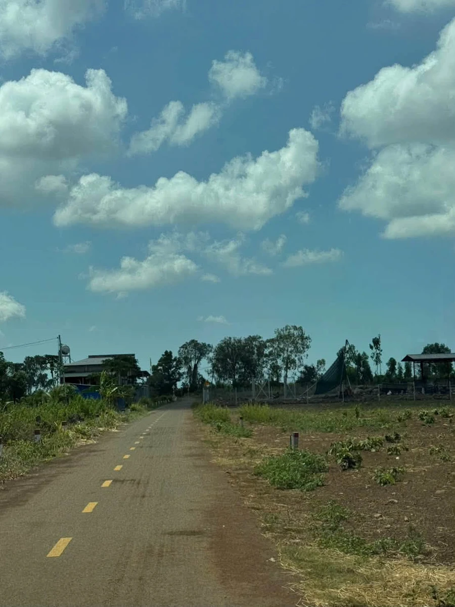 Bán đất 1300m2 đường nhựa Long Tân, chỉ 1 tỷ 50 - Ảnh thu nhỏ 2
