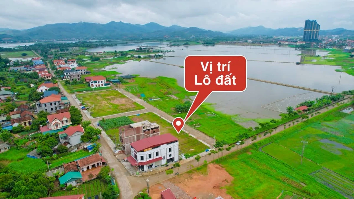 Bán đất 100m2 khu đấu giá Bảo Yên, Thanh Thuỷ, Phú Thọ, 2 tỷ - Ảnh 1