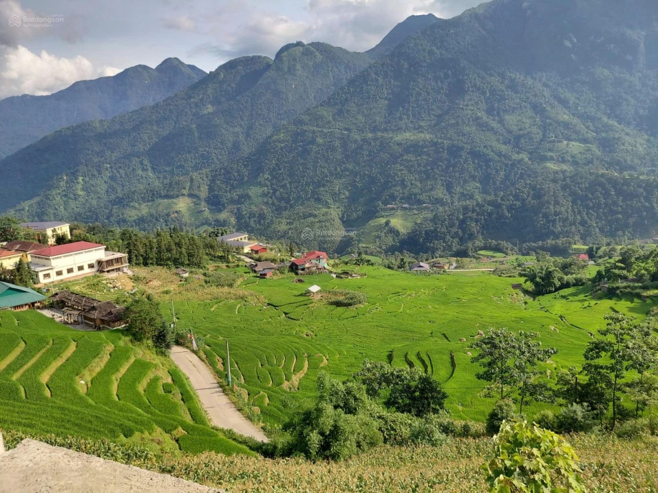Bán đất tại Tả Van - Sapa, 3000 m2 có sẵn 1200 m2 thổ cư, mặt tiền 40m chỉ 16.5 tỷ - Ảnh thu nhỏ 3