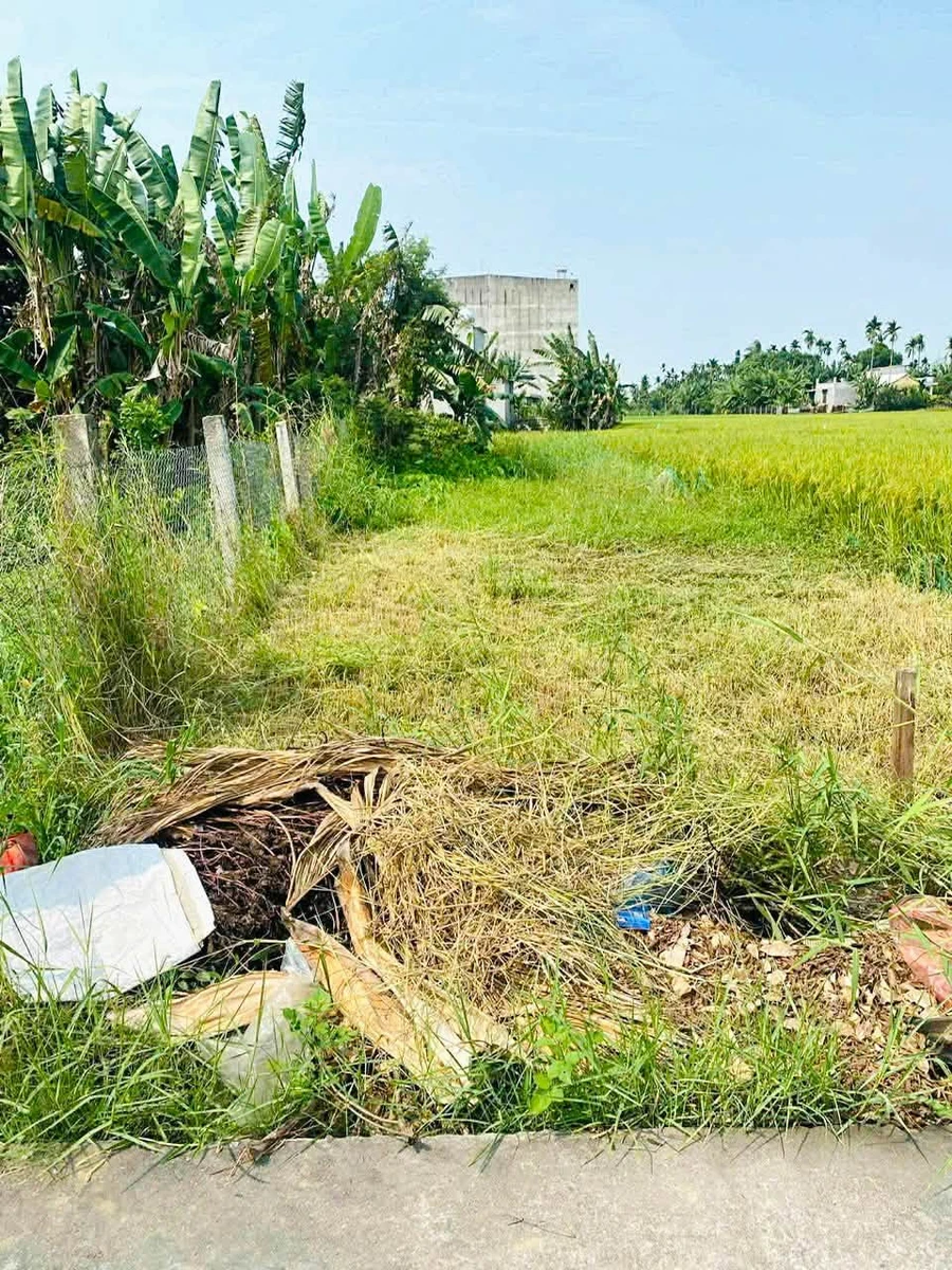 Bán lô đất 137m² Nhị Dinh 1, Điện Bàn Tây, Đà Nẵng - Ảnh 1