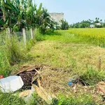 Bán lô đất 137m² Nhị Dinh 1, Điện Bàn Tây, Đà Nẵng - Ảnh thu nhỏ 1