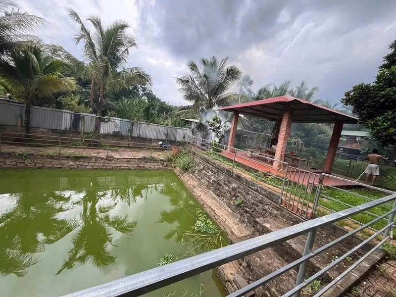Bán lô đất 1.131,7m² có nhà ao cá Đắk Lắk 2,6 tỷ