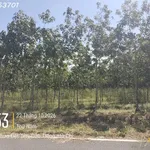 Bán đất đẹp tại Ấp Yên Ngựa, ĐT 744, Định Thành, Dầu Tiếng, 2,55 tỷ, DT 251m2 - Ảnh thu nhỏ 6