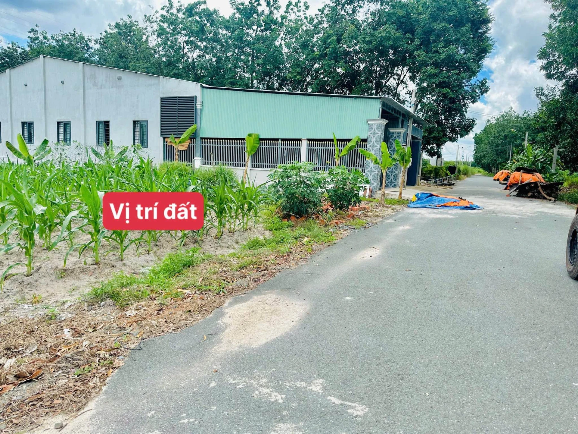 Bán đất vườn 500 m2 Chơn Thành Bình Phước 220 triệu - Ảnh 1