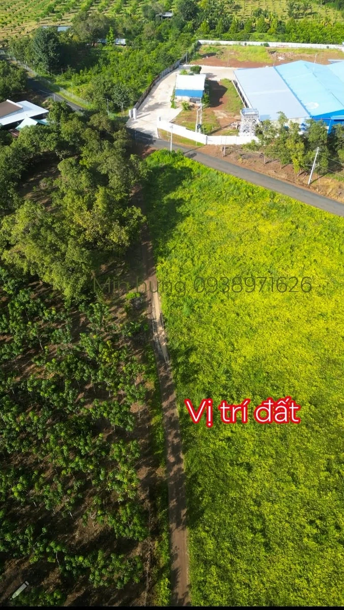 Bán đất thổ cư 100m2 tại dakia TP Đồng Nai 99 triệu - Ảnh 1