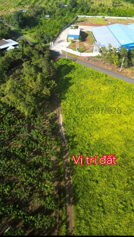 Bán đất thổ cư 100m2 tại dakia TP Đồng Nai 99 triệu