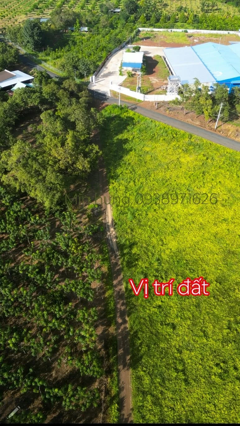 Bán đất thổ cư 100m2 tại dakia TP Đồng Nai 99 triệu - Ảnh 1