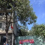 MTKD Nguyễn Công Trứ, TP Buôn Ma Thuột. Ngang 5m x 17m, full thổ cư 100%, 1 trệt 3 tầng, HĐT lâu - Ảnh thu nhỏ 6