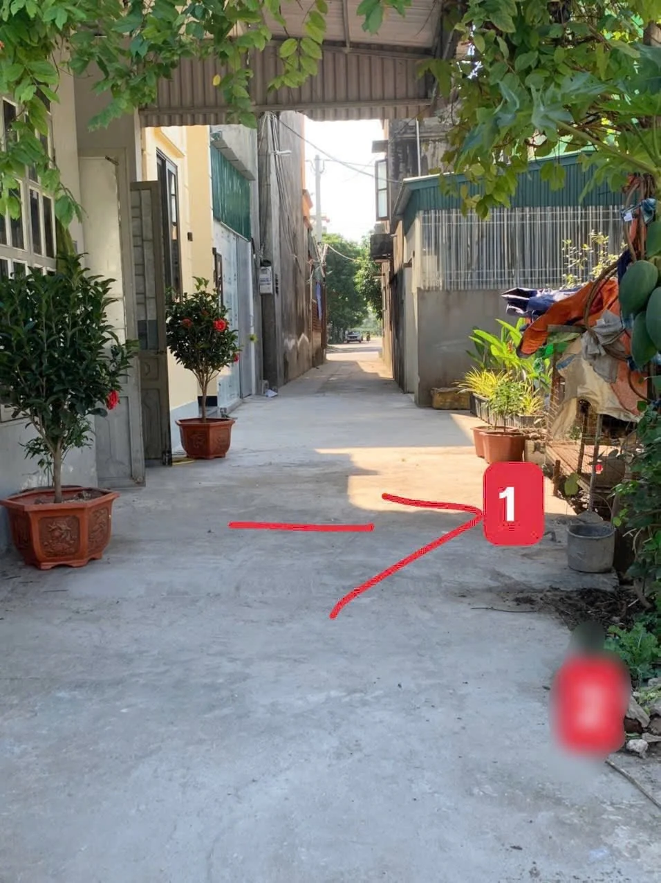 Bán lô đất 48,8m² đường Mai Độ, Hải Dương, 1,23 tỷ - Ảnh 1