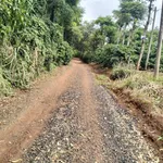 Bán đất 503,9m2 ngang 28,3m, bìa riêng, giá 399 triệu tại Khánh Xuân - Ảnh thu nhỏ 1