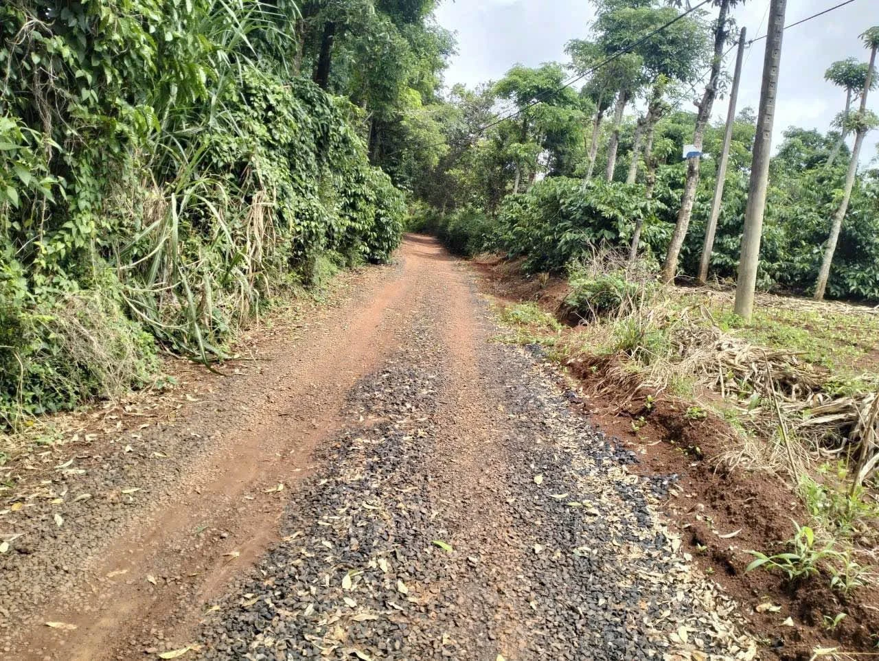 Bán đất 503,9m2 ngang 28,3m, bìa riêng, giá 399 triệu tại Khánh Xuân - Ảnh 1