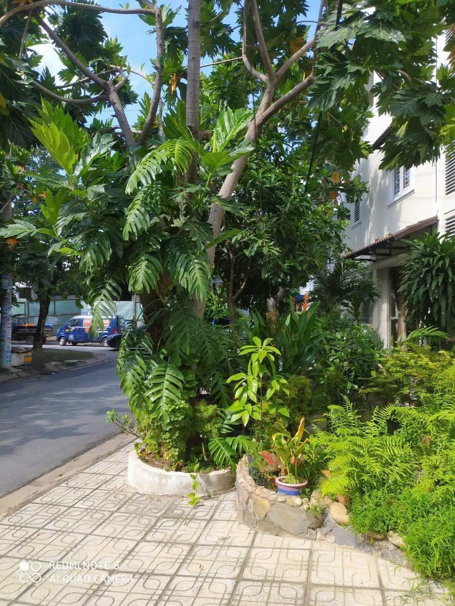 Bán nhà 2 mặt tiền Hóc Môn, 231m², 3 tầng giá 7,5 tỷ - Ảnh thu nhỏ 2