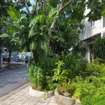 Bán nhà 2 mặt tiền Hóc Môn, 231m², 3 tầng giá 7,5 tỷ - Ảnh thu nhỏ 2