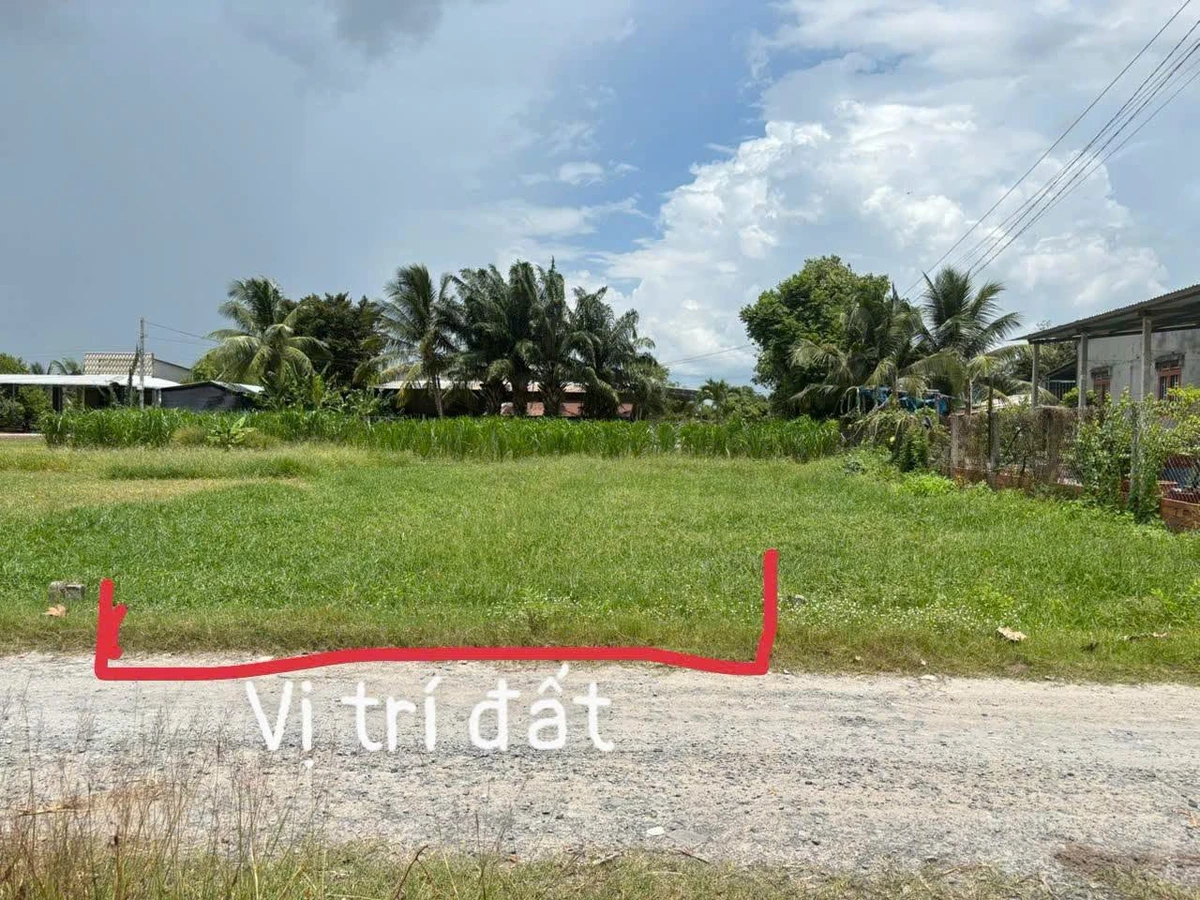 Bán lô đất thổ cư 100% 224m² Tân Mỹ Đức Hoà Long An - Ảnh 1